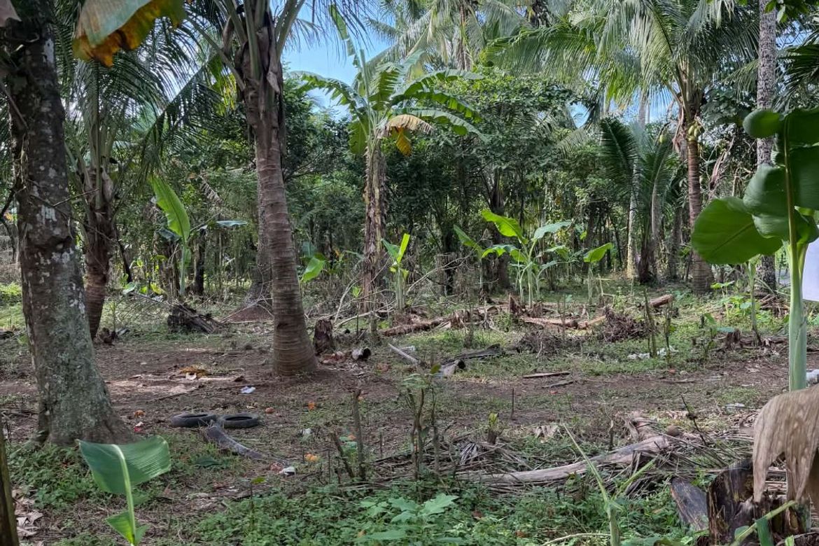 Land for Sale in Kayquit I, Indang, Cavite