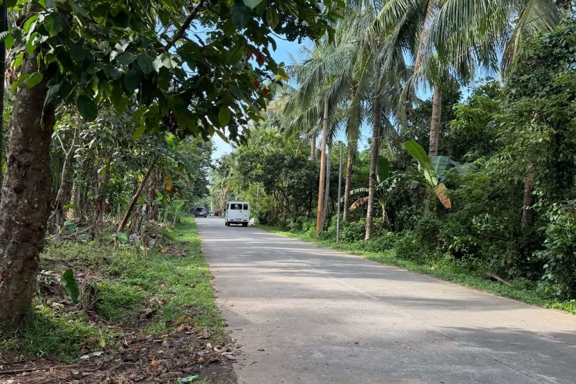 Land for Sale in Kayquit I, Indang, Cavite – photo 2