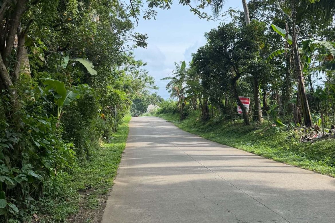 Land for Sale in Kayquit I, Indang, Cavite – photo 3