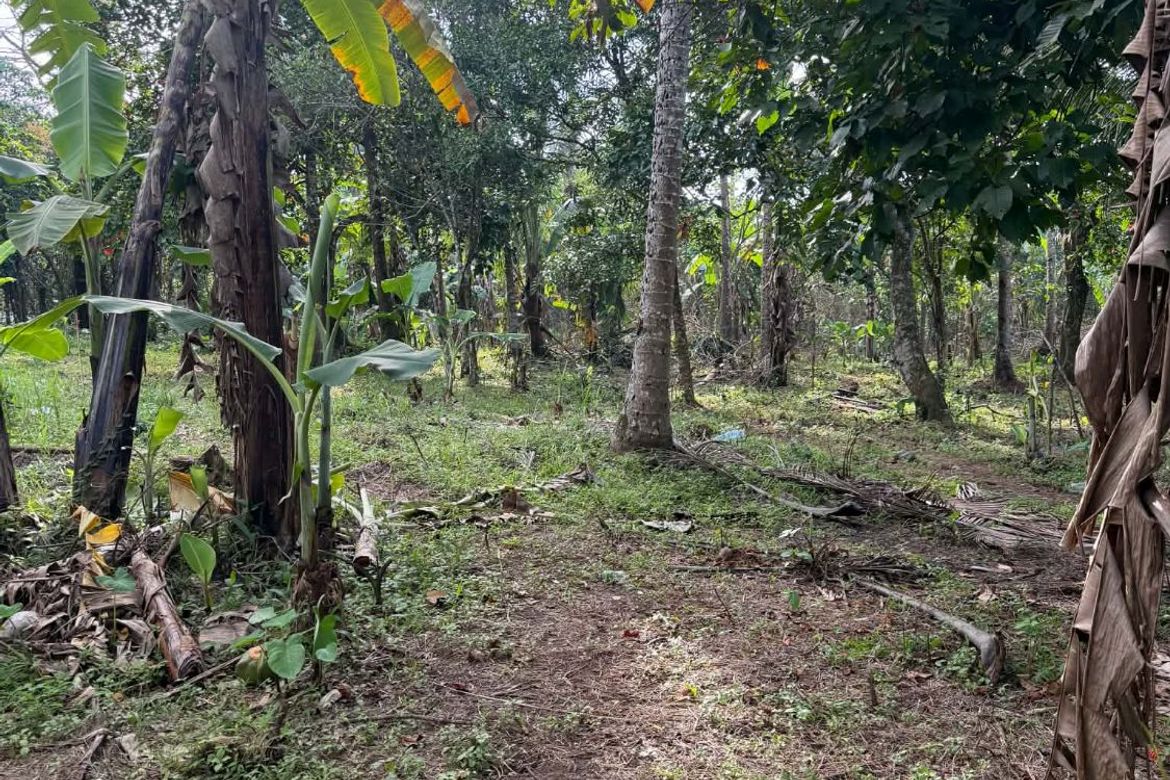 Land for Sale in Kayquit I, Indang, Cavite – photo 4