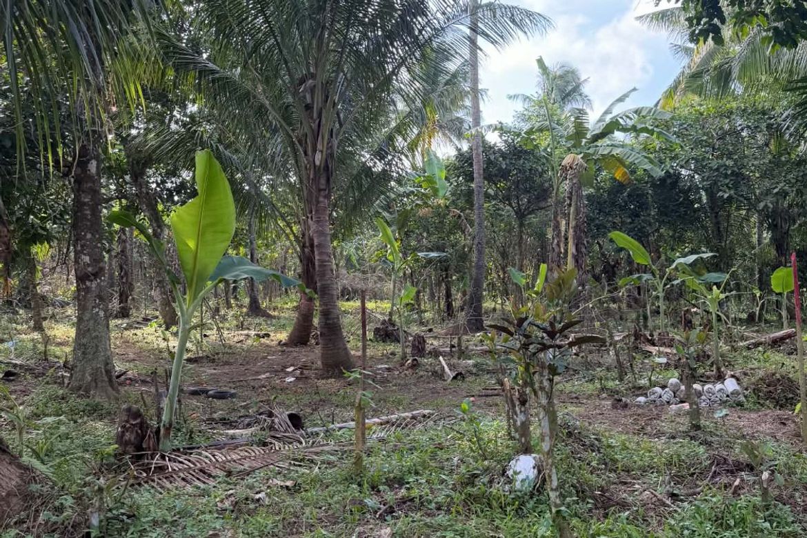 Land for Sale in Kayquit I, Indang, Cavite – photo 6