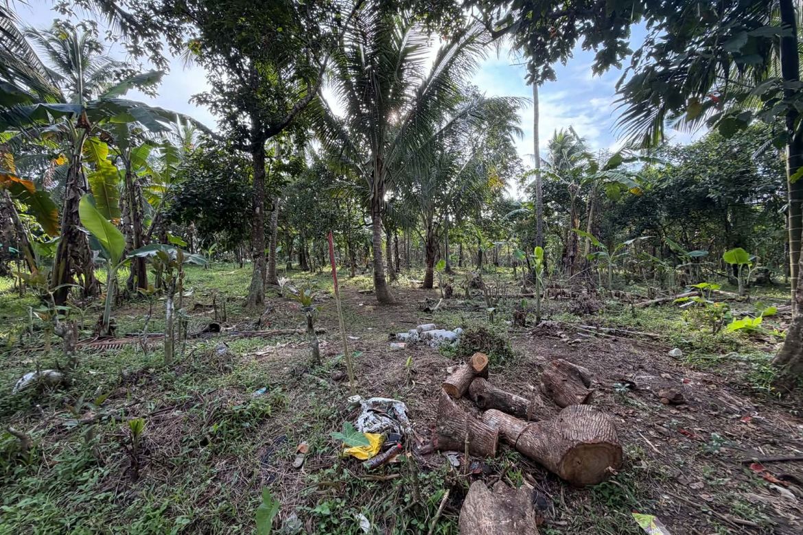 Land for Sale in Kayquit I, Indang, Cavite – photo 8