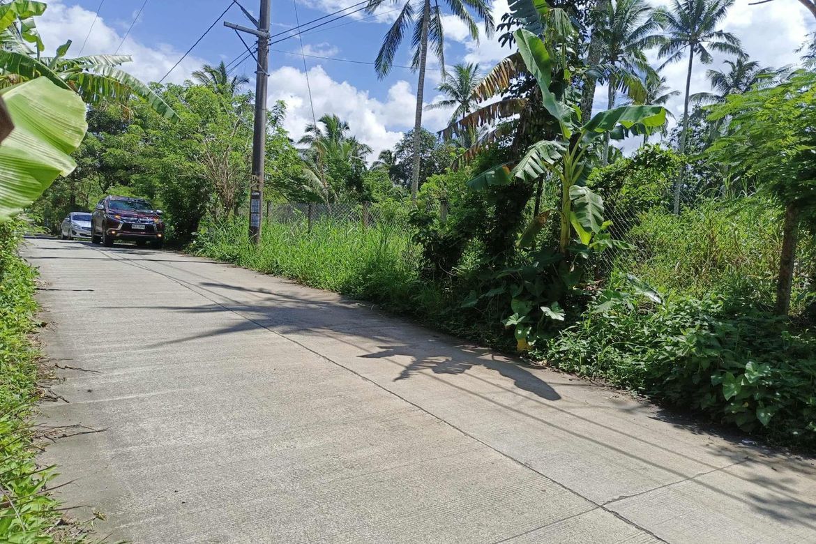Land for Sale in Kaysuyo, Alfonso, Cavite