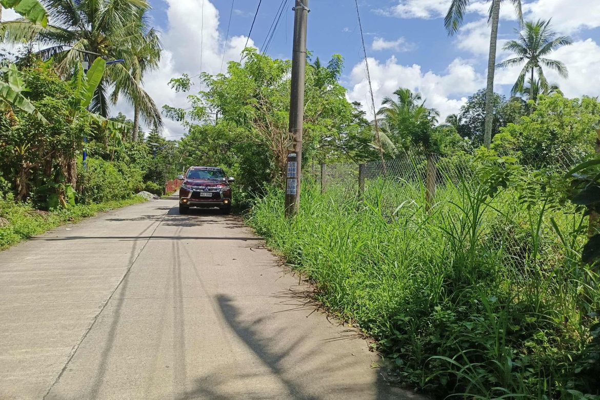 Land for Sale in Kaysuyo, Alfonso, Cavite – photo 2