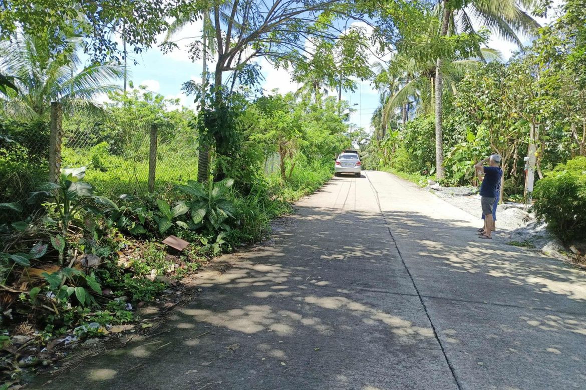Land for Sale in Kaysuyo, Alfonso, Cavite – photo 4