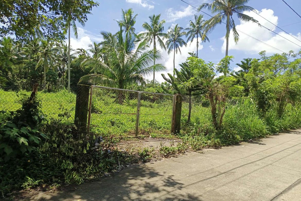 Land for Sale in Kaysuyo, Alfonso, Cavite – photo 7