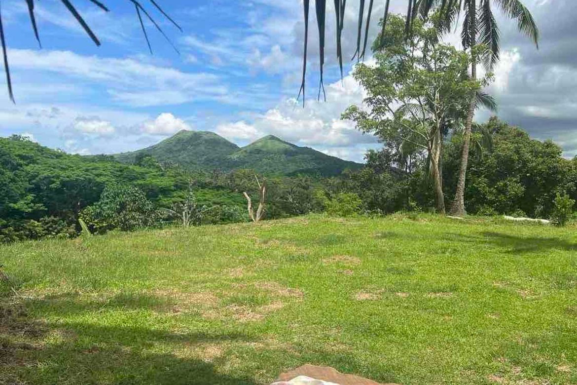 Land for Sale in Kaysuyo, Alfonso, Cavite – photo 4