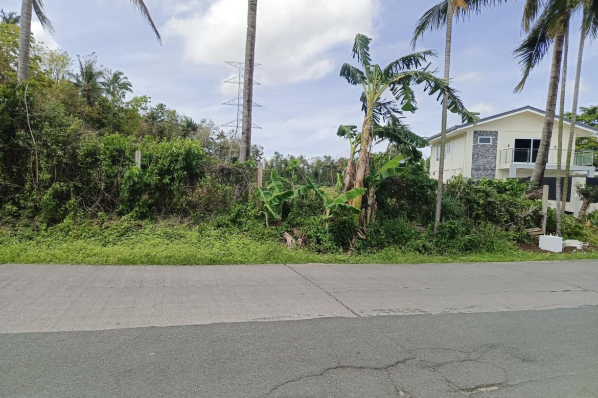 Land for Sale in Kaysuyo, Alfonso, Cavite