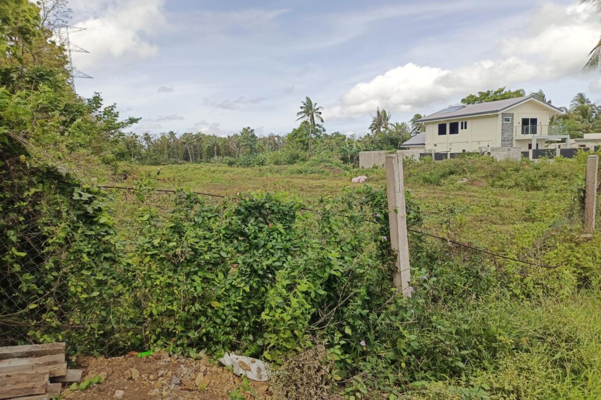 Land for Sale in Kaysuyo, Alfonso, Cavite – photo 2