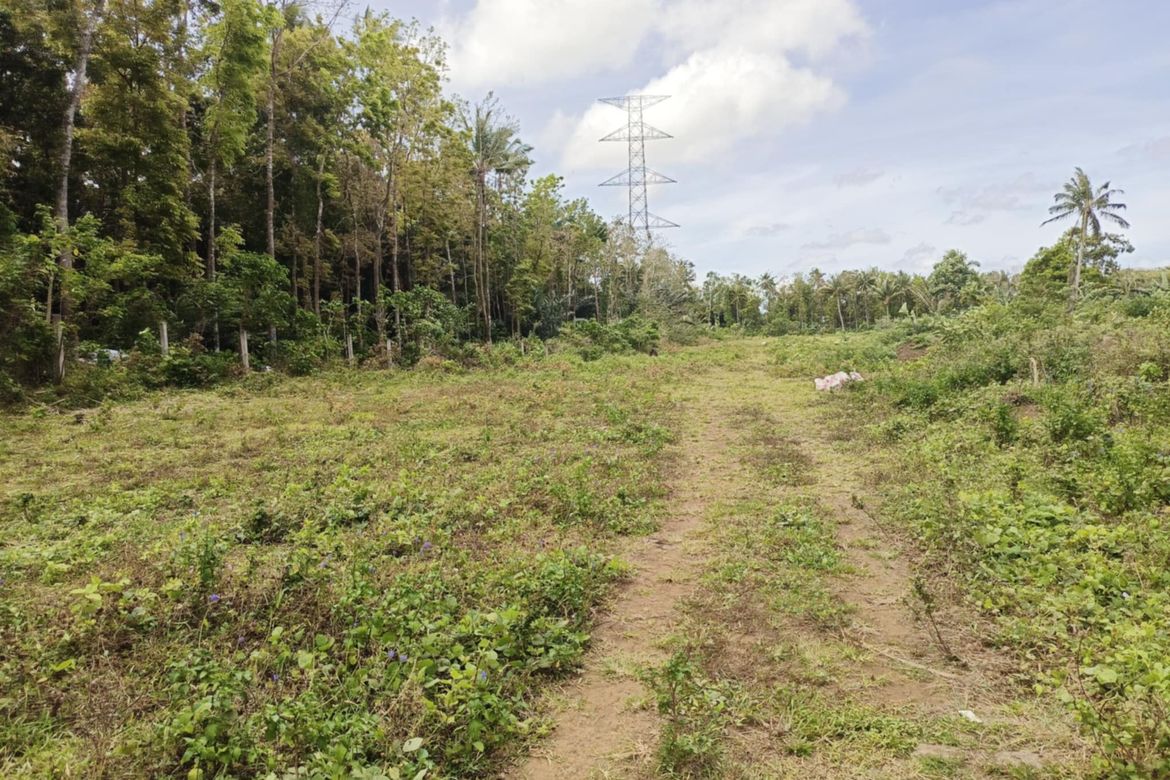 Land for Sale in Kaysuyo, Alfonso, Cavite – photo 5
