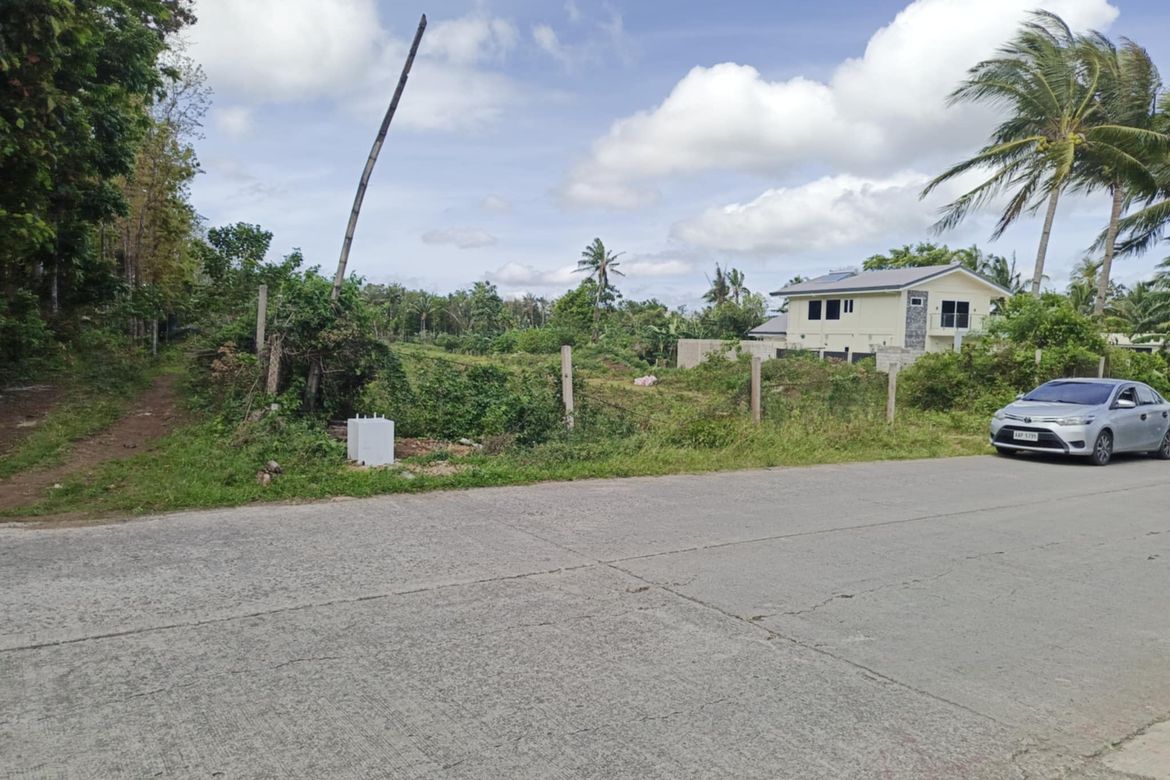 Land for Sale in Kaysuyo, Alfonso, Cavite – photo 6
