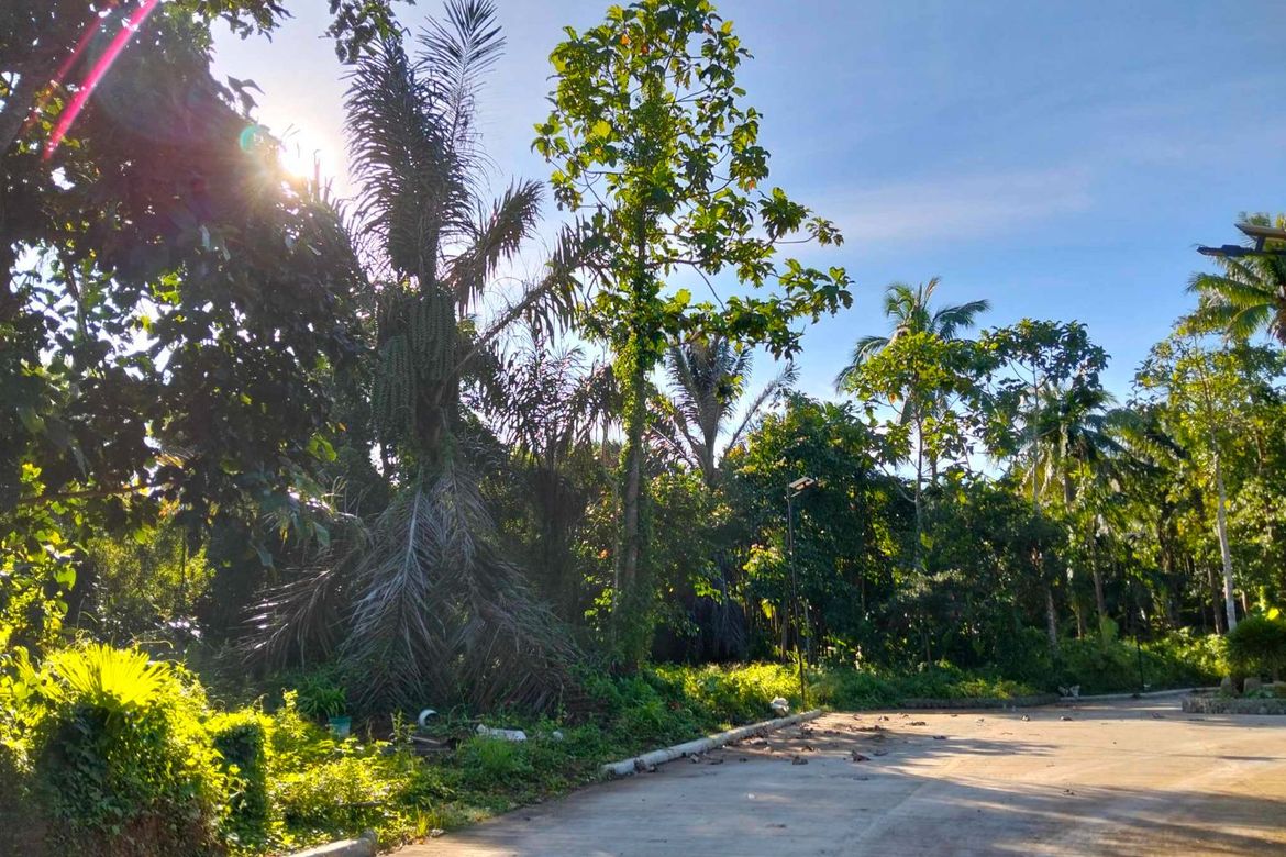 Land for Sale in Kaytitinga I, Alfonso, Cavite – photo 6
