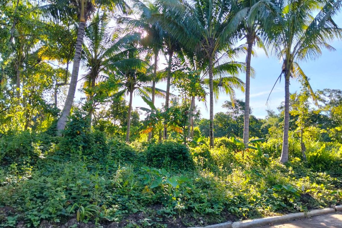 Land for Sale in Kaytitinga I, Alfonso, Cavite – photo 7