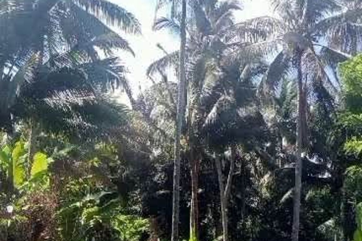 Land for Sale in Kaytitinga I, Alfonso, Cavite – photo 3