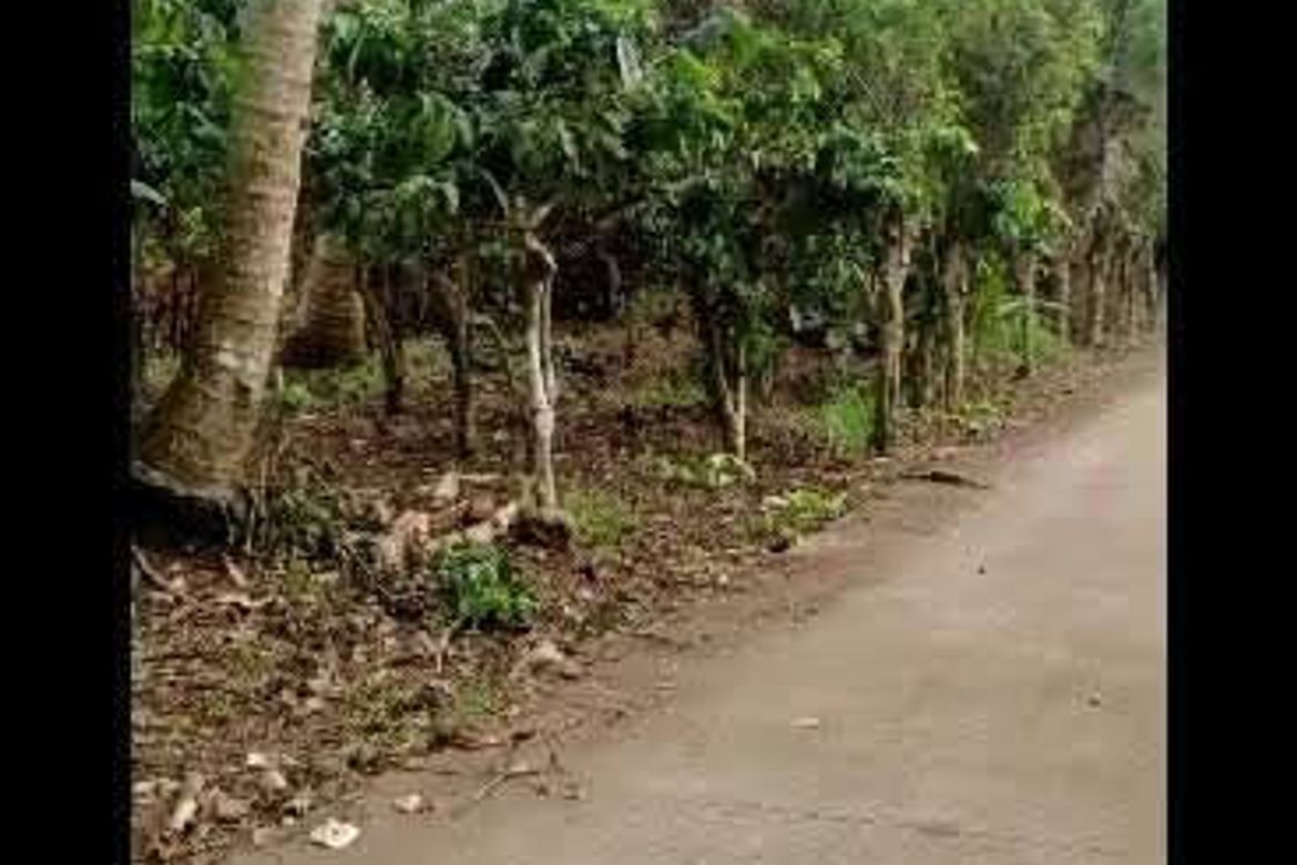 Land for Sale in Kaytitinga I, Alfonso, Cavite – photo 5