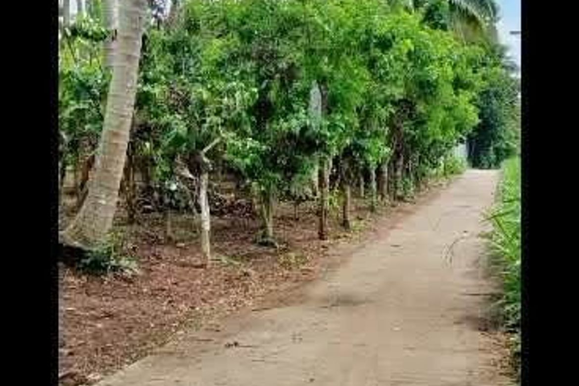 Land for Sale in Kaytitinga I, Alfonso, Cavite – photo 6