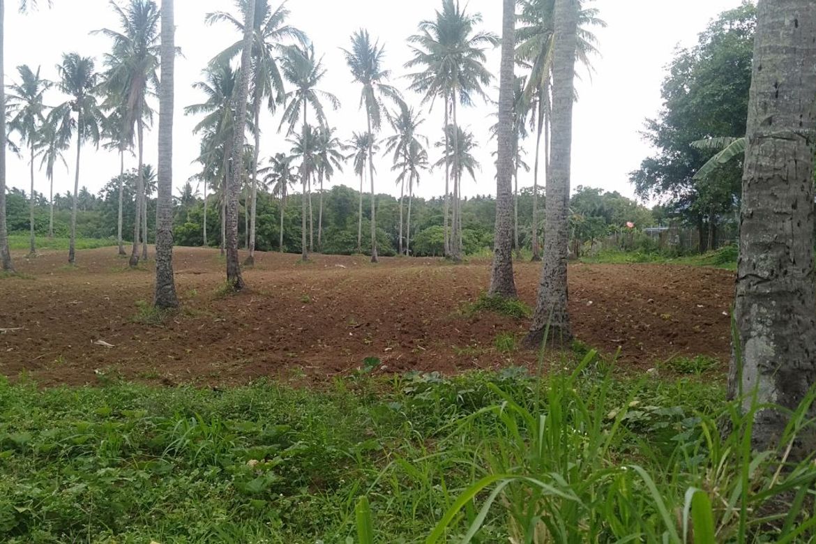 Land for Sale in Kaytitinga I, Alfonso, Cavite – photo 2