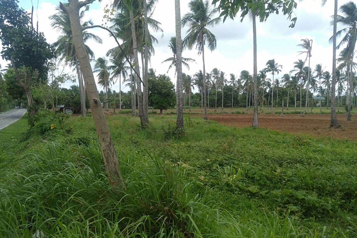 Land for Sale in Kaytitinga I, Alfonso, Cavite – photo 4