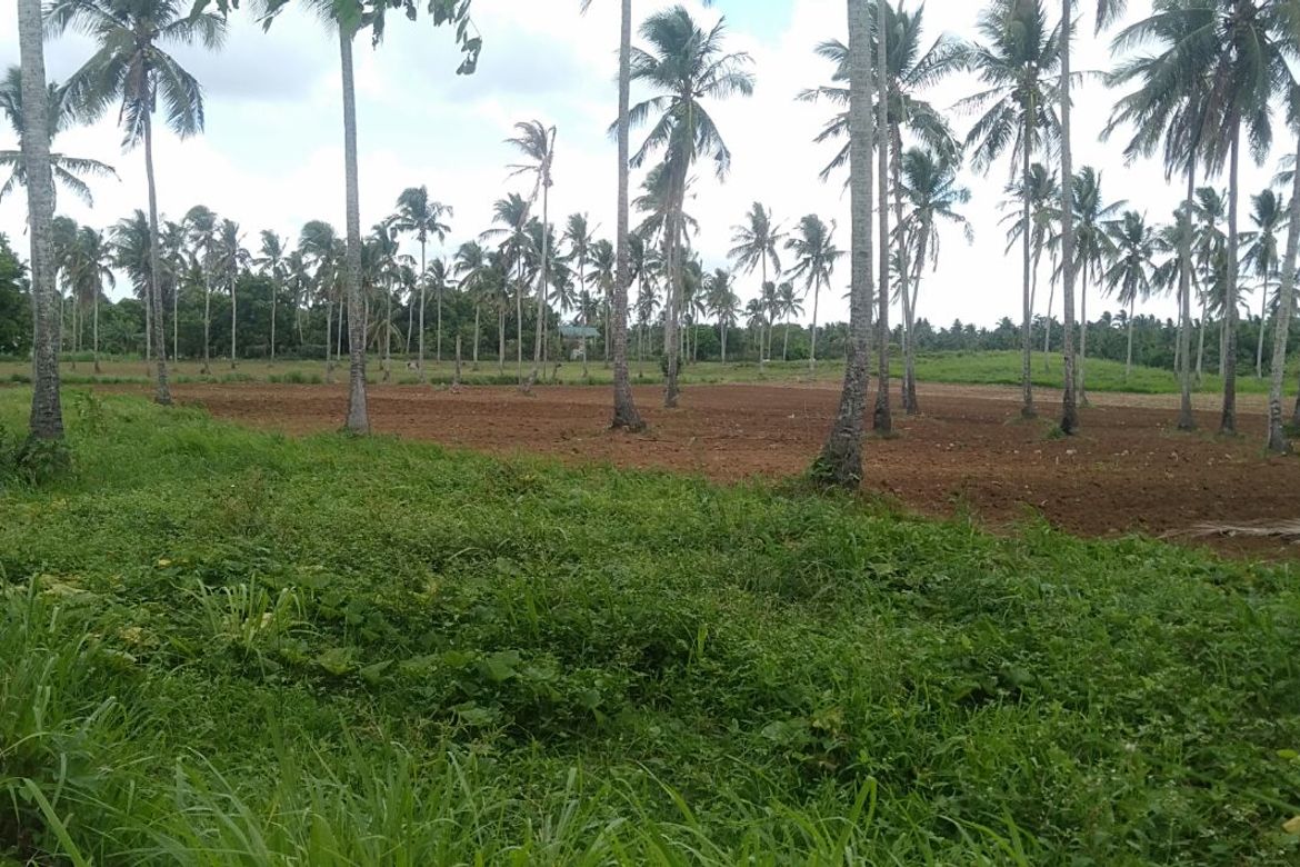 Land for Sale in Kaytitinga I, Alfonso, Cavite – photo 5