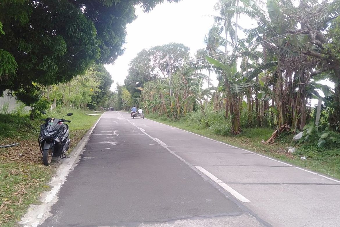 Land for Sale in Kaytitinga I, Alfonso, Cavite – photo 6
