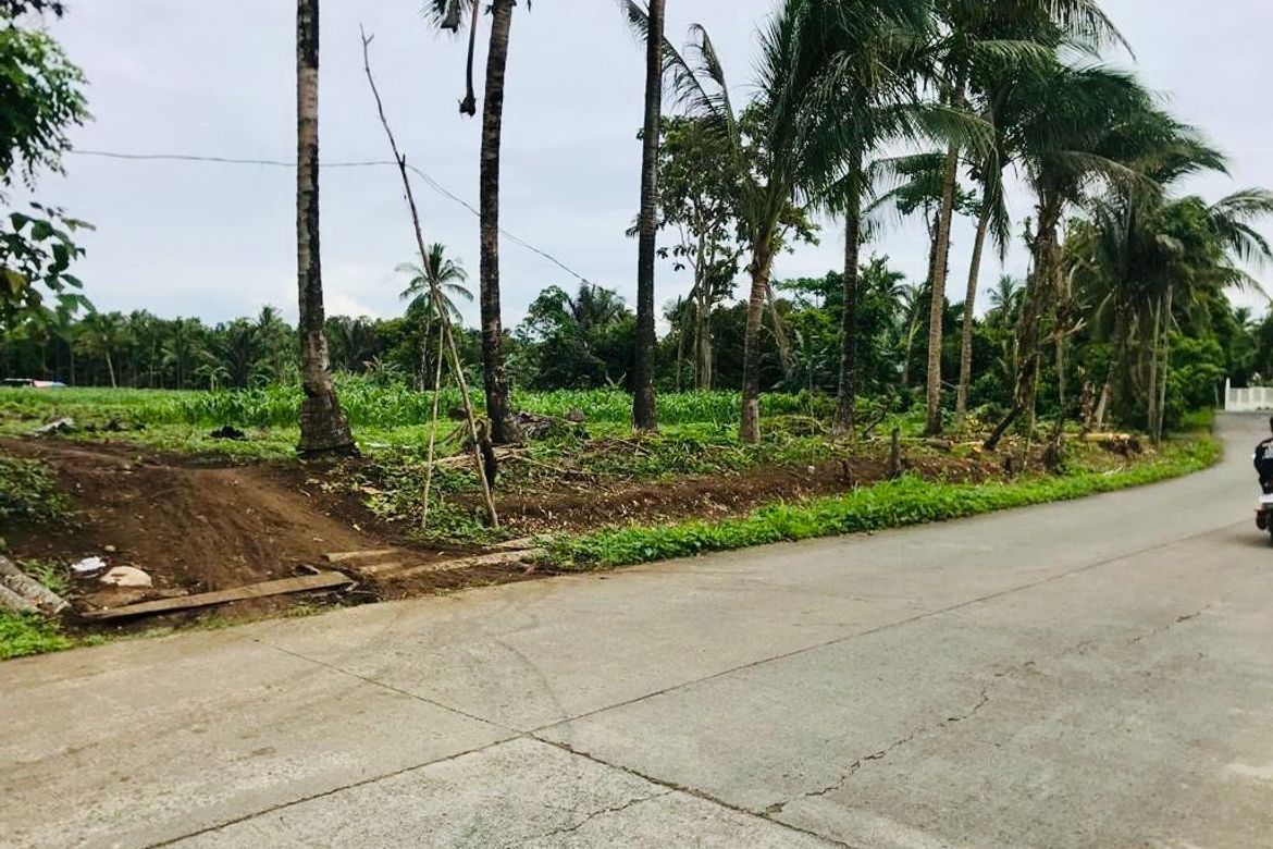Land for Sale in Kaytitinga II, Alfonso, Cavite – photo 2