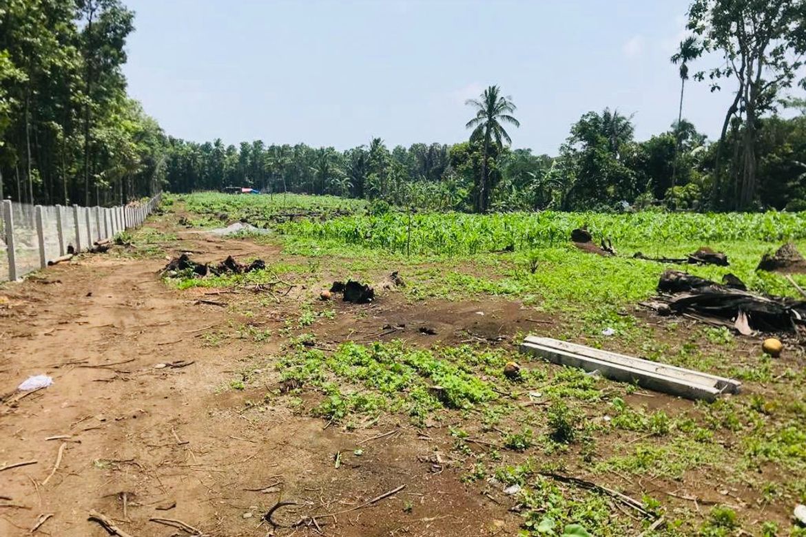 Land for Sale in Kaytitinga II, Alfonso, Cavite – photo 3