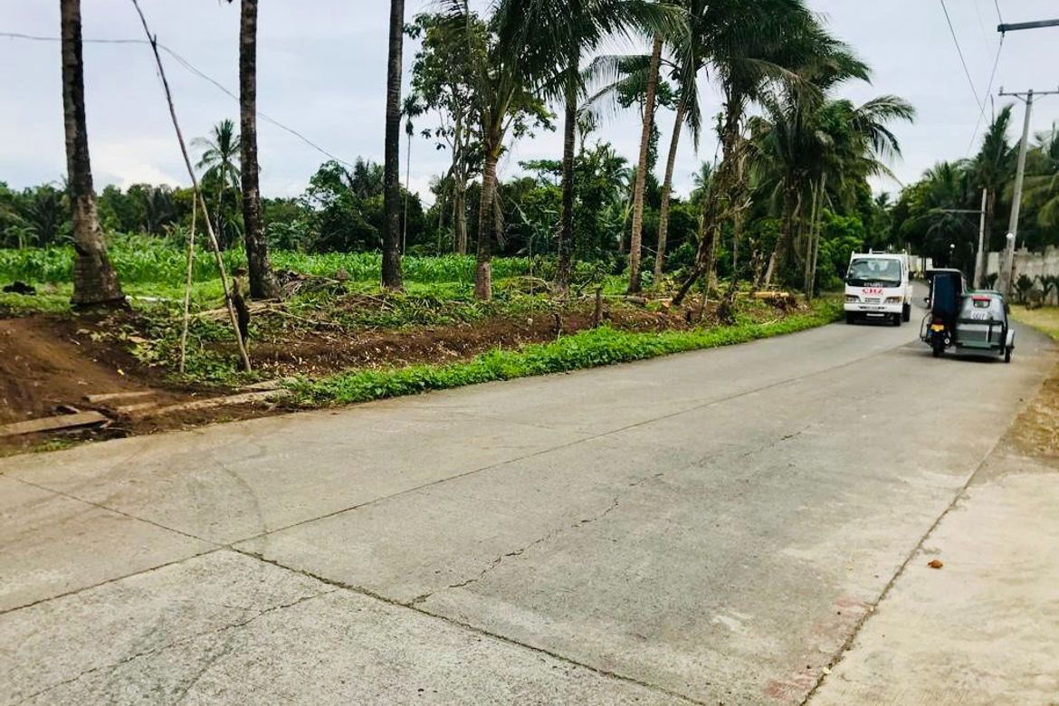 Land for Sale in Kaytitinga II, Alfonso, Cavite – photo 4