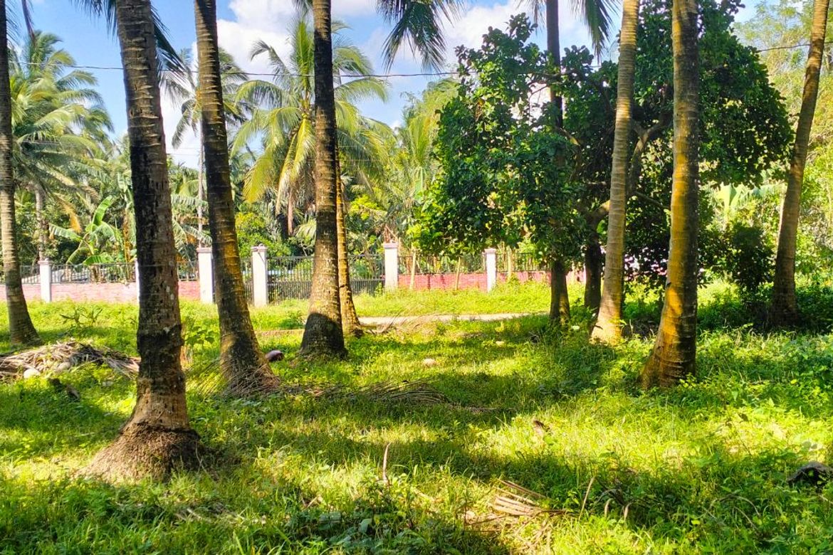 Land for Sale in Kaytitinga II, Alfonso, Cavite