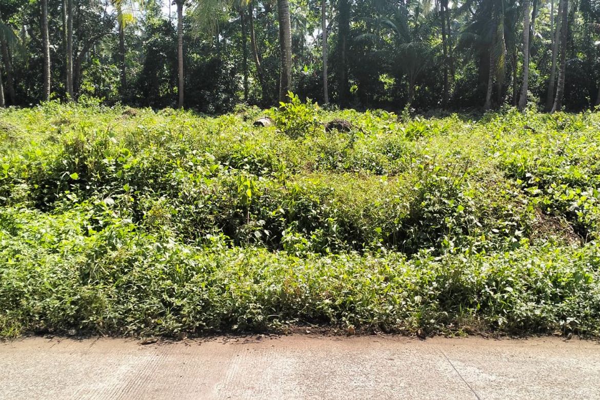Land for Sale in Kaytitinga II, Alfonso, Cavite – photo 4
