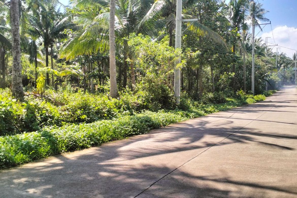 Land for Sale in Kaytitinga II, Alfonso, Cavite – photo 5