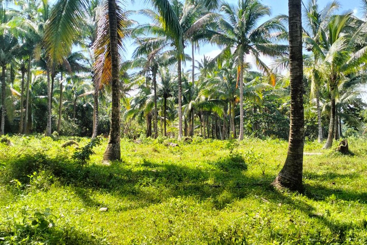 Land for Sale in Kaytitinga II, Alfonso, Cavite – photo 6