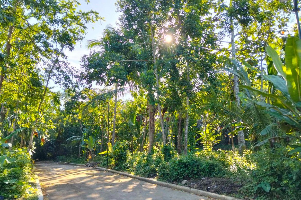 Land for Sale in Kaytitinga III, Alfonso, Cavite – photo 4