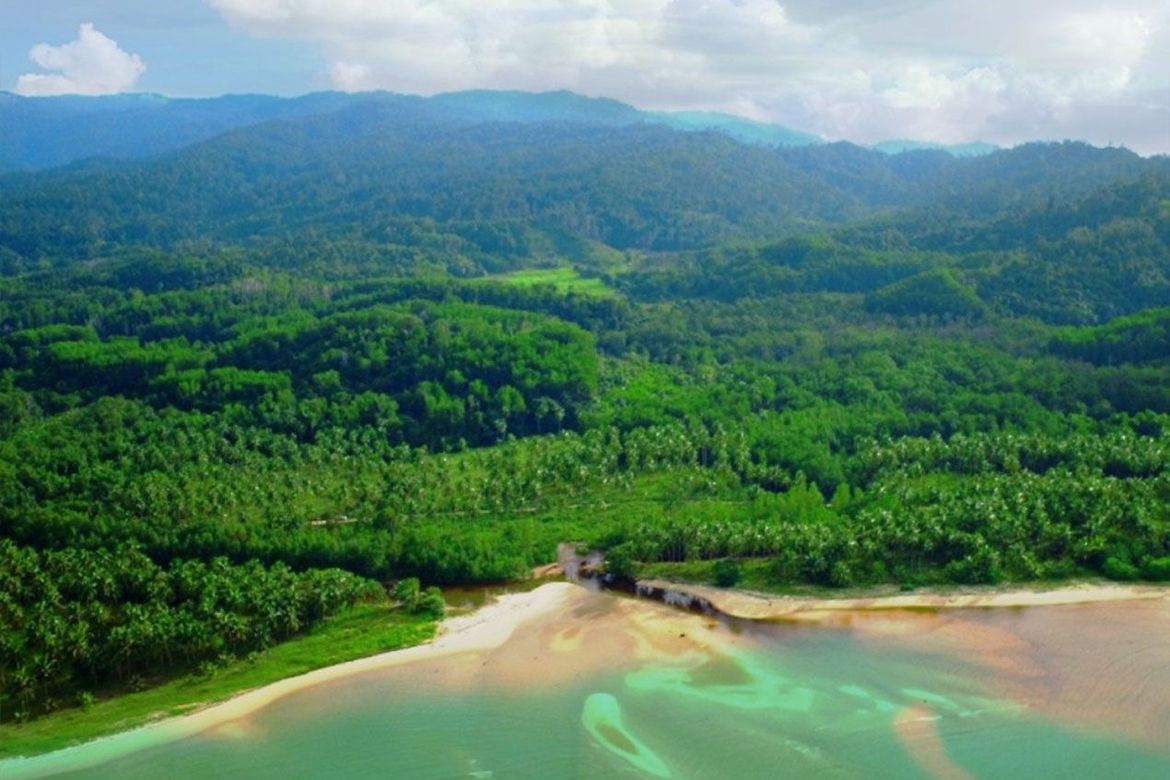 Land for Sale in Kemdeng, San Vicente, Palawan – photo 2