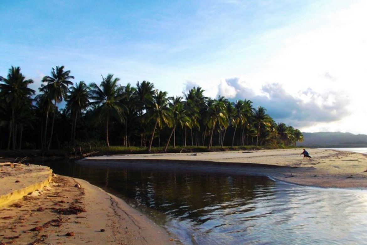 Land for Sale in Kemdeng, San Vicente, Palawan – photo 8