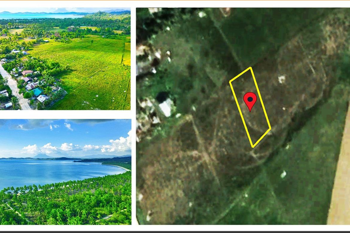 Land for Sale in Kemdeng, San Vicente, Palawan