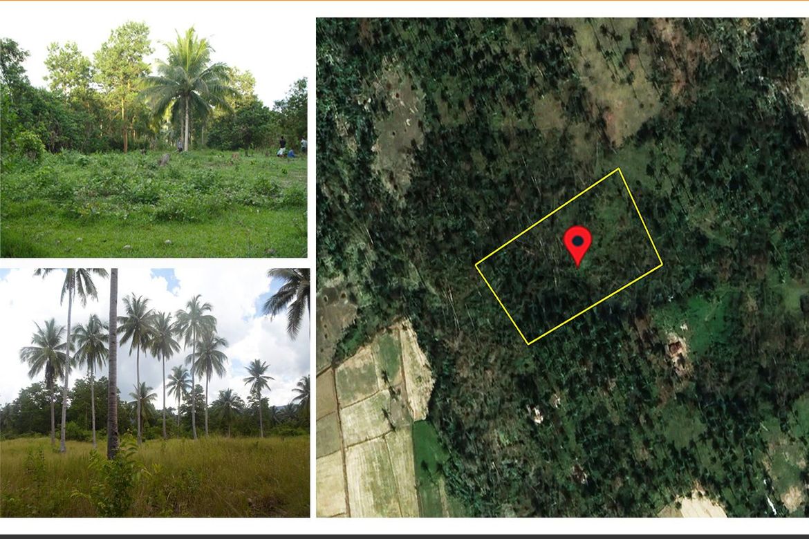 Land for Sale in Kemdeng, San Vicente, Palawan