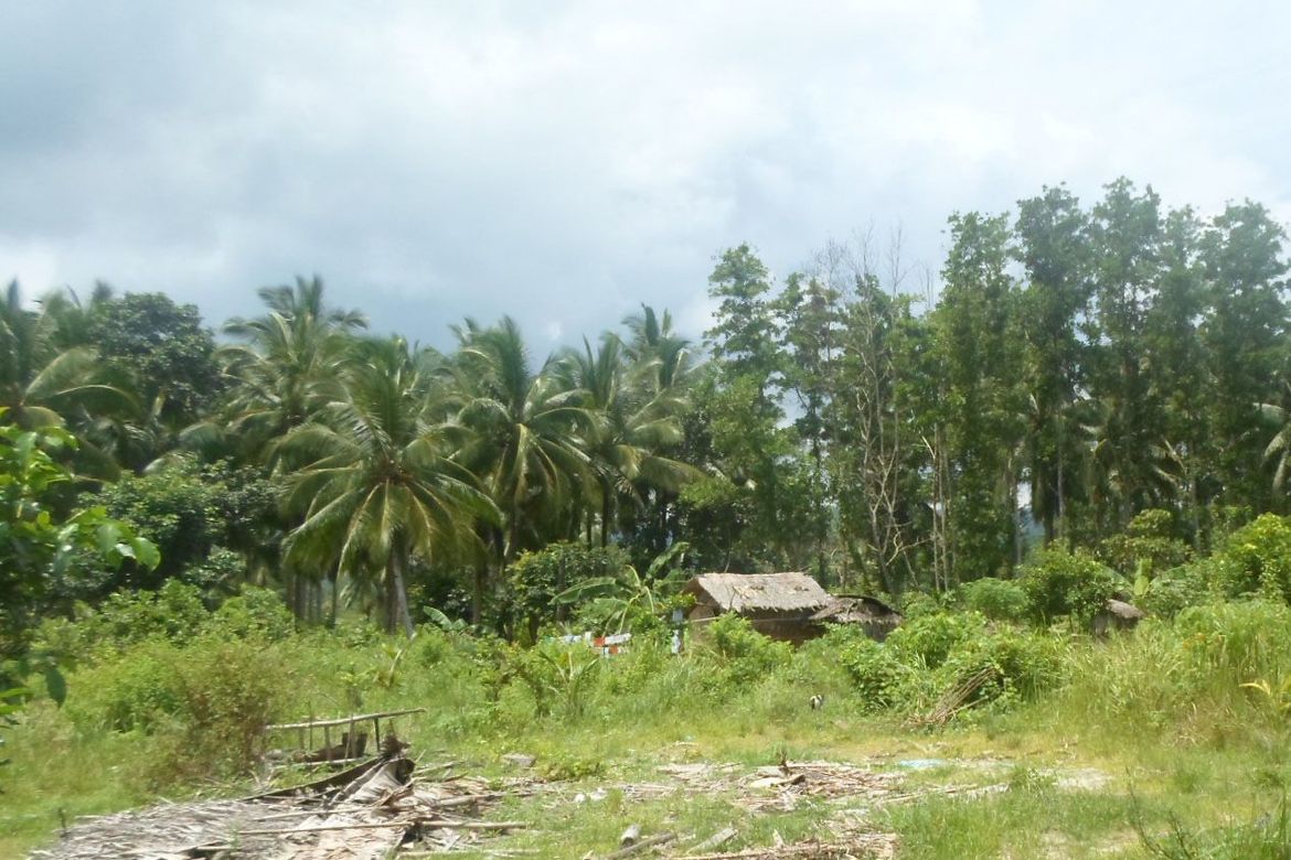 Land for Sale in Kemdeng, San Vicente, Palawan – photo 5