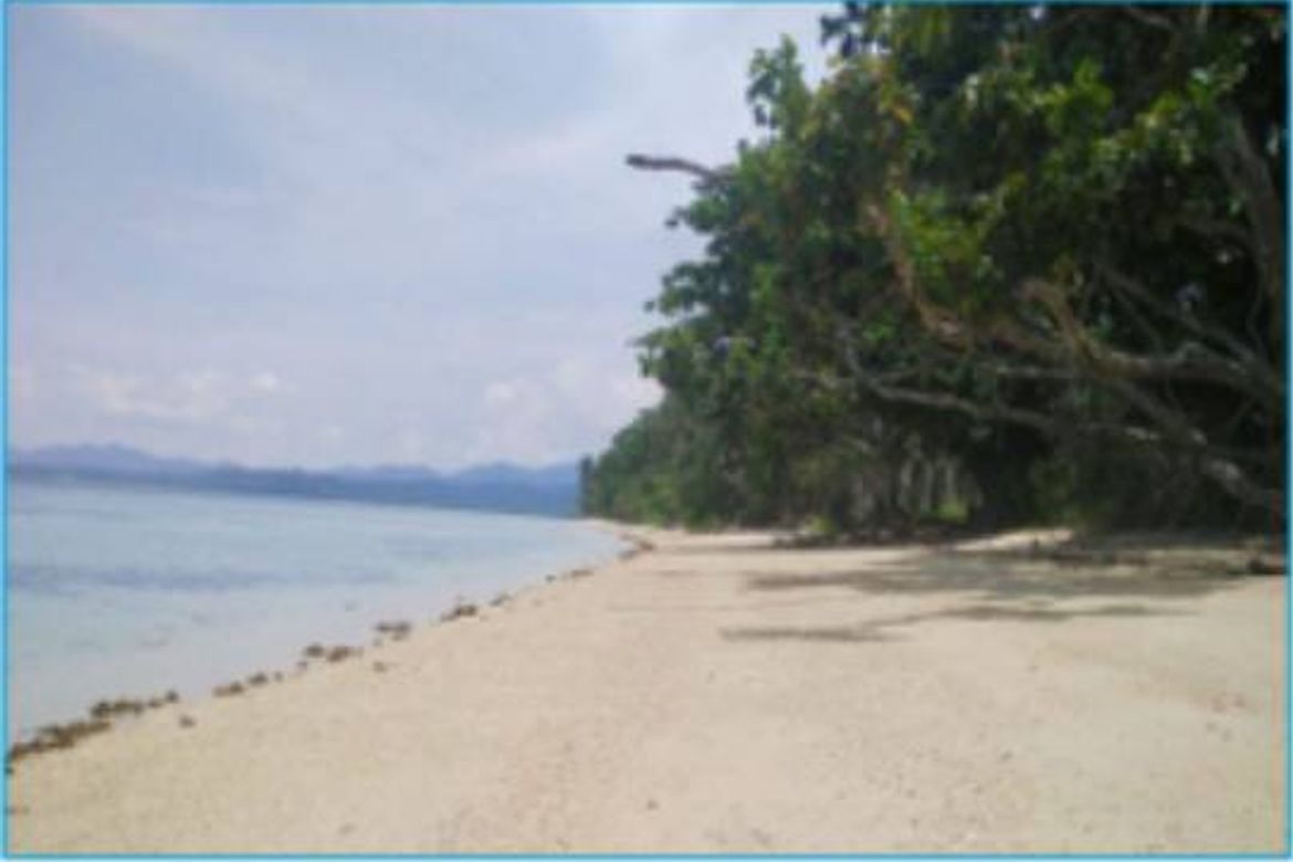 Land for Sale in Kemdeng, San Vicente, Palawan