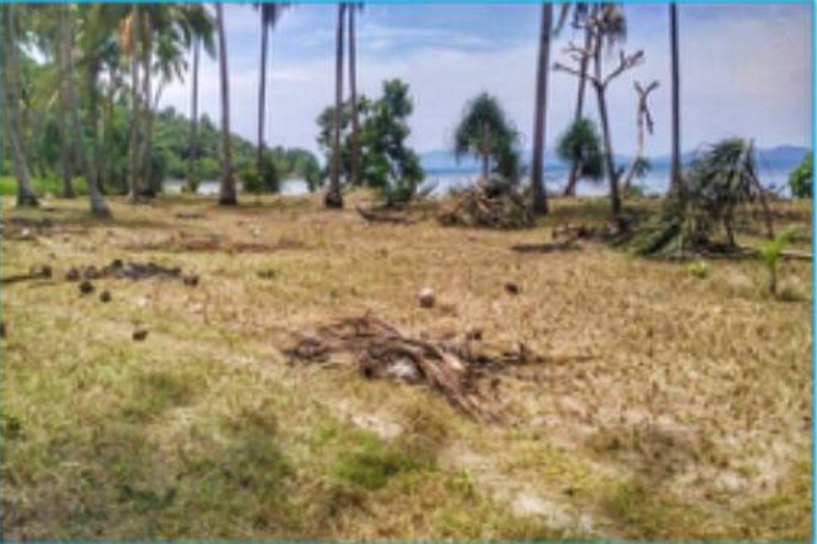 Land for Sale in Kemdeng, San Vicente, Palawan – photo 4