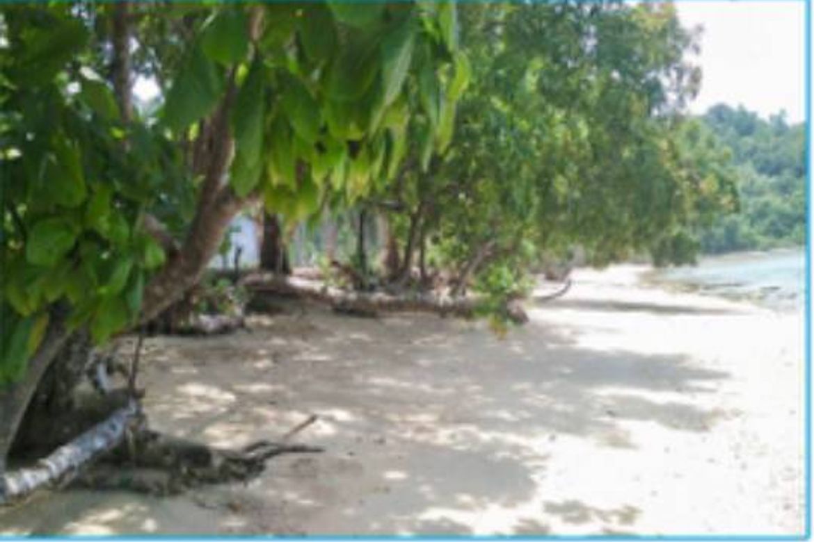 Land for Sale in Kemdeng, San Vicente, Palawan – photo 8