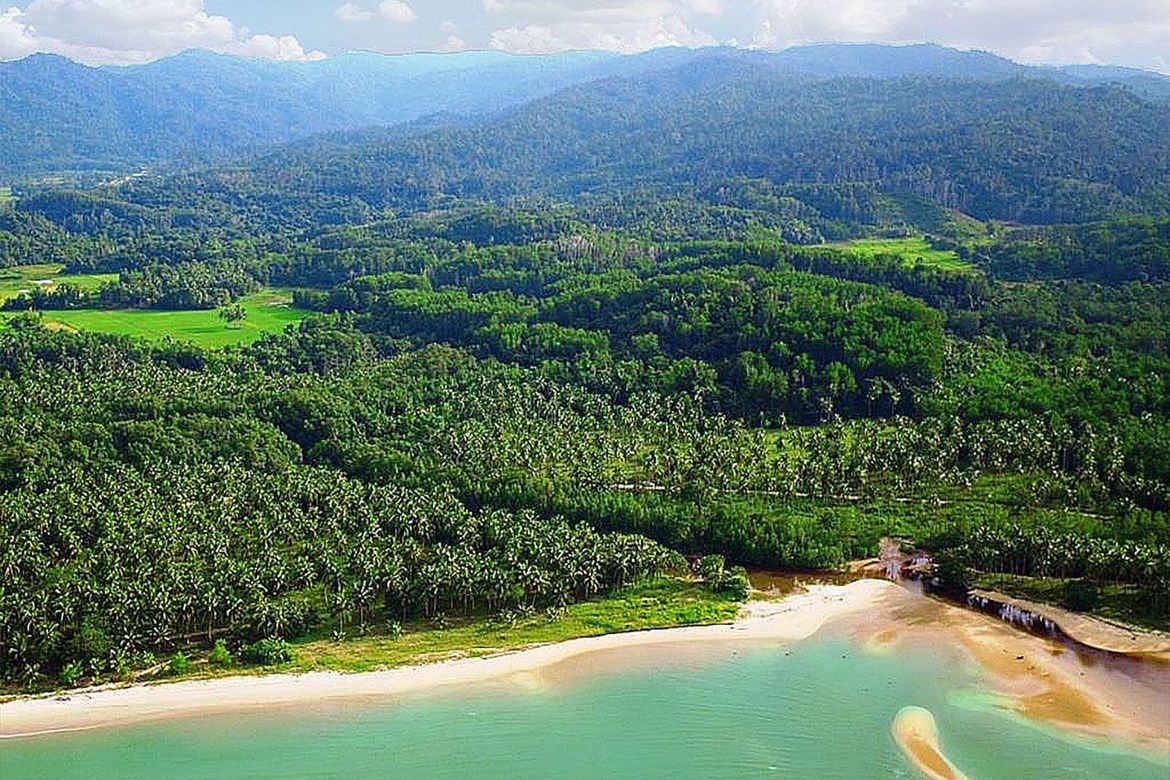 Land for Sale in Kemdeng, San Vicente, Palawan – photo 2