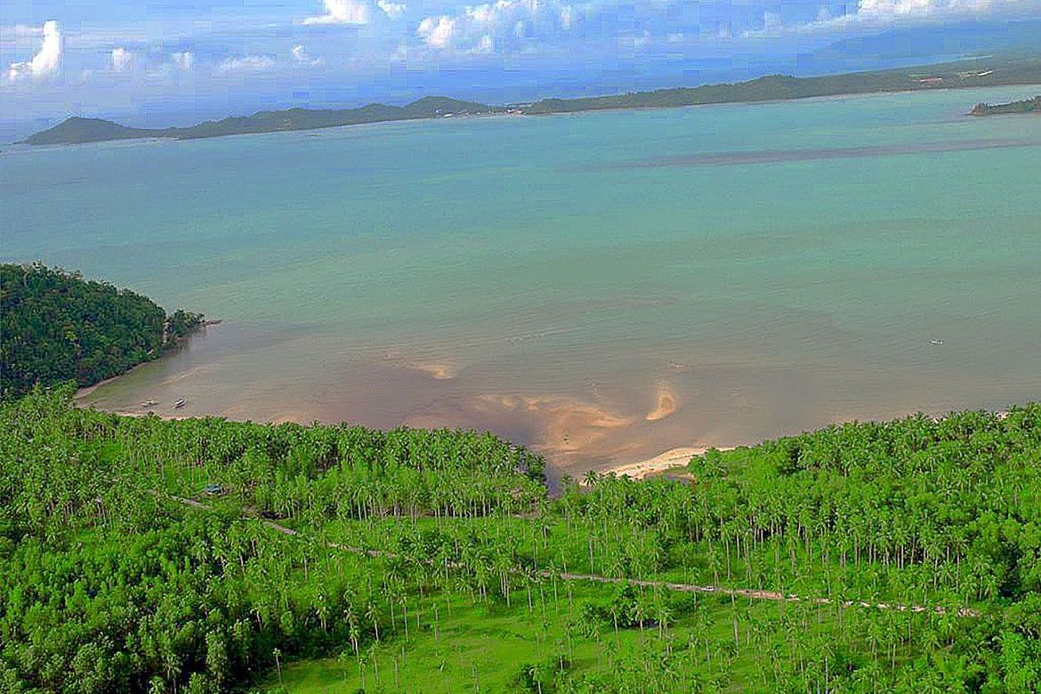 Land for Sale in Kemdeng, San Vicente, Palawan – photo 3