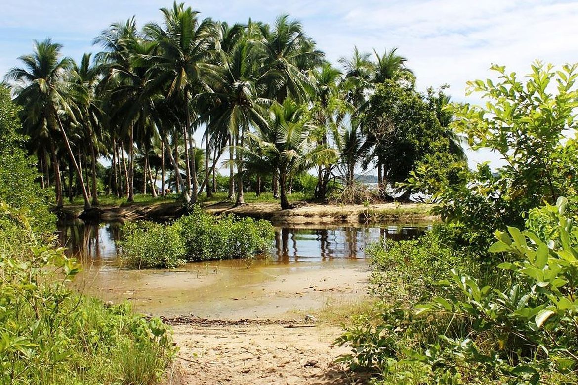 Land for Sale in Kemdeng, San Vicente, Palawan – photo 4