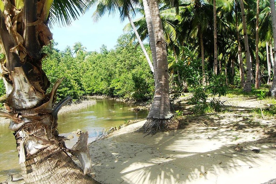 Land for Sale in Kemdeng, San Vicente, Palawan – photo 6
