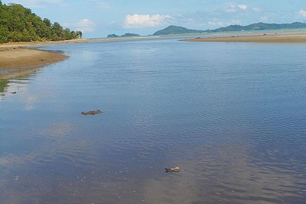 Land for Sale in Kemdeng, San Vicente, Palawan – photo 8