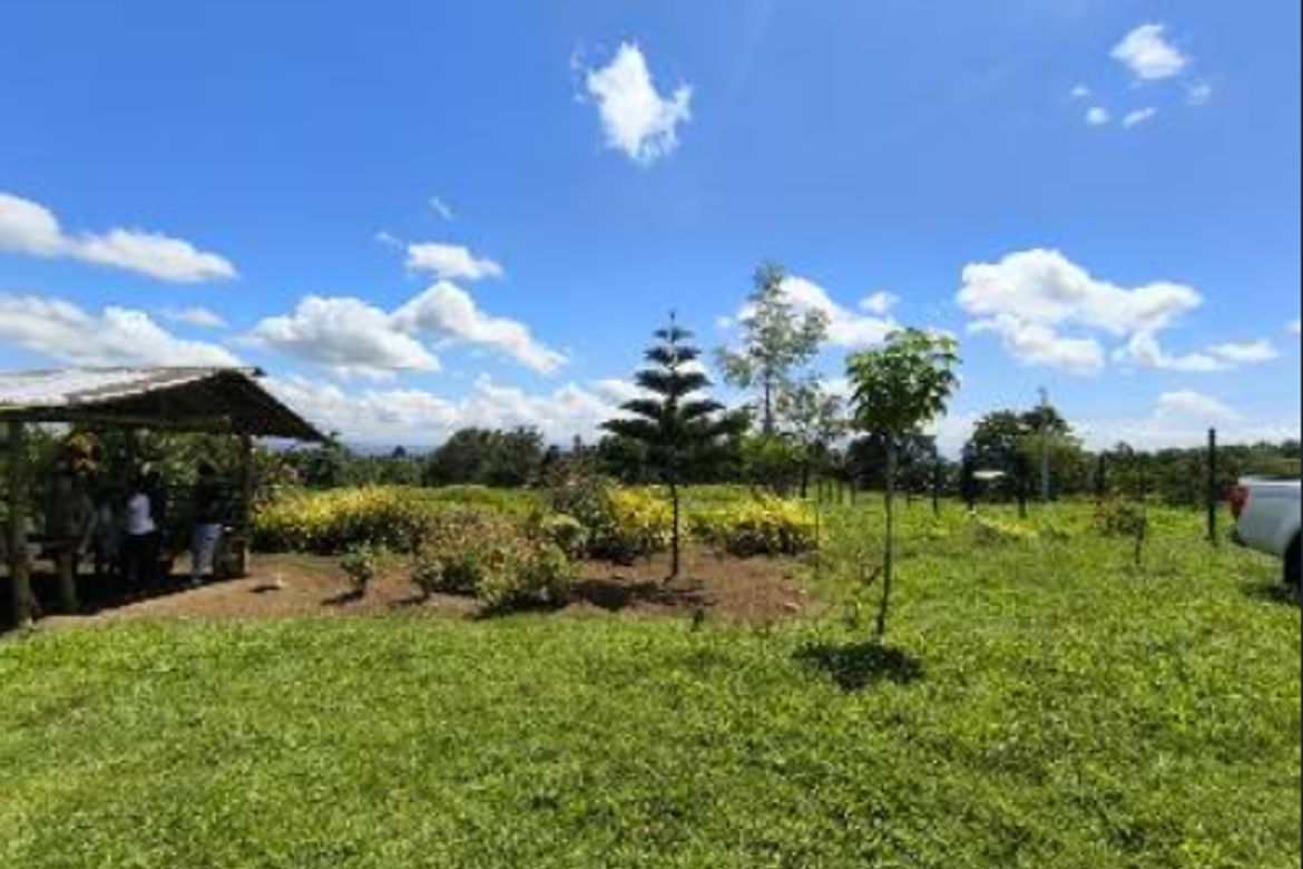 Land for Sale in Kilate, Davao City, Davao del Sur – photo 2