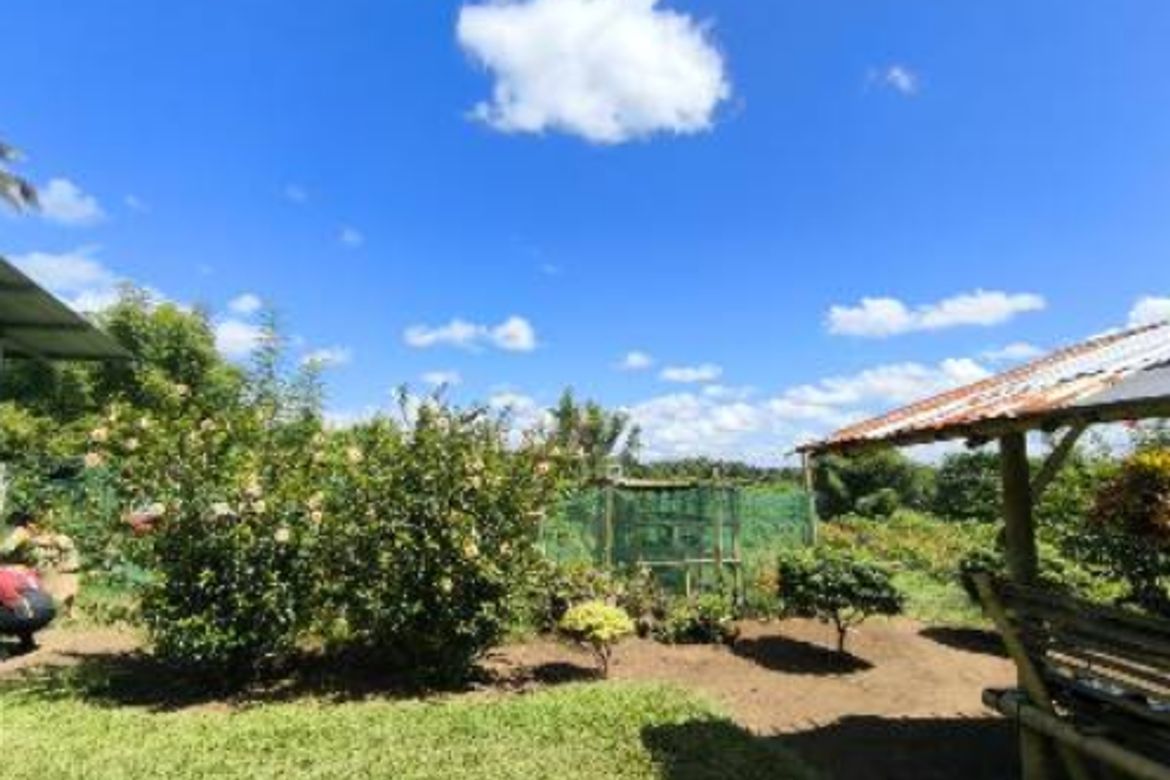 Land for Sale in Kilate, Davao City, Davao del Sur – photo 3