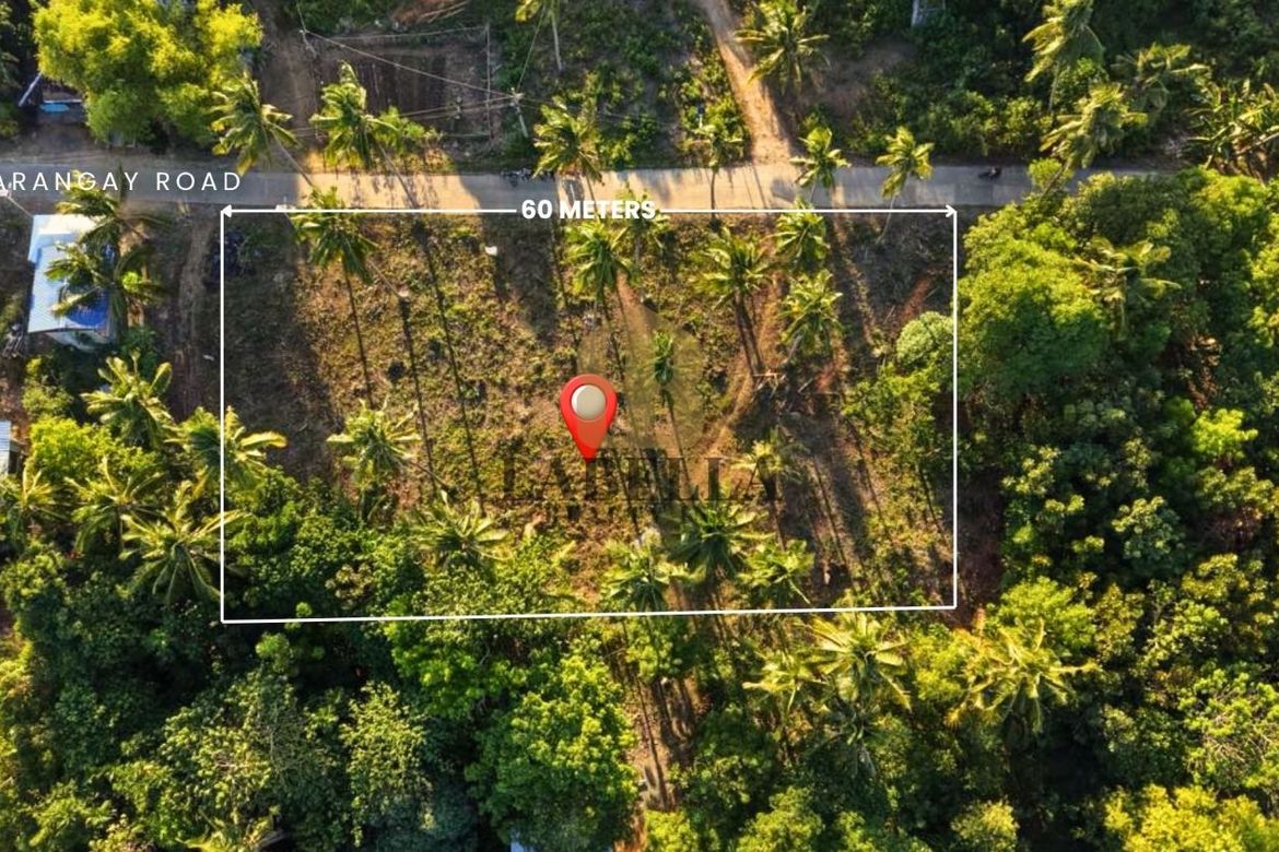 Land for Sale in Kinabag-An, Calape, Bohol