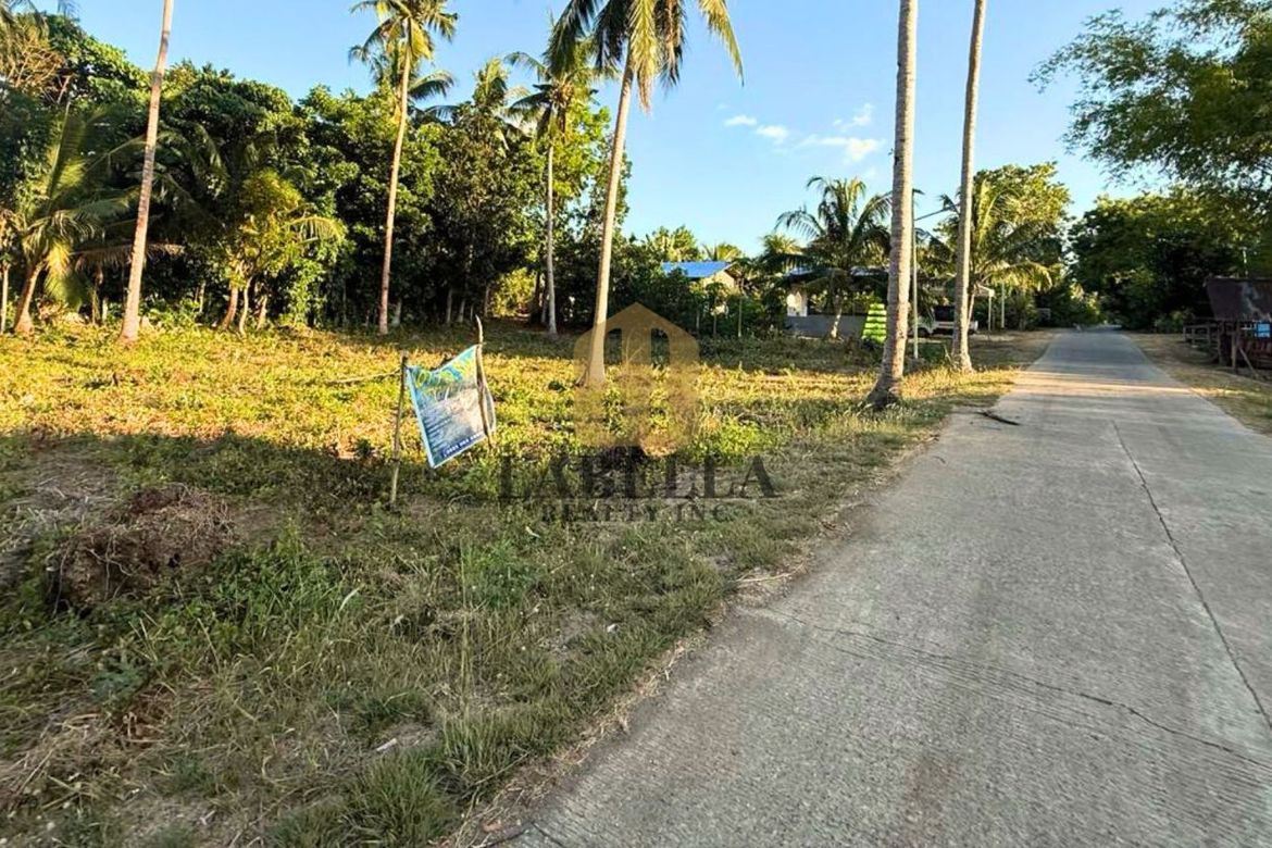 Land for Sale in Kinabag-An, Calape, Bohol – photo 3