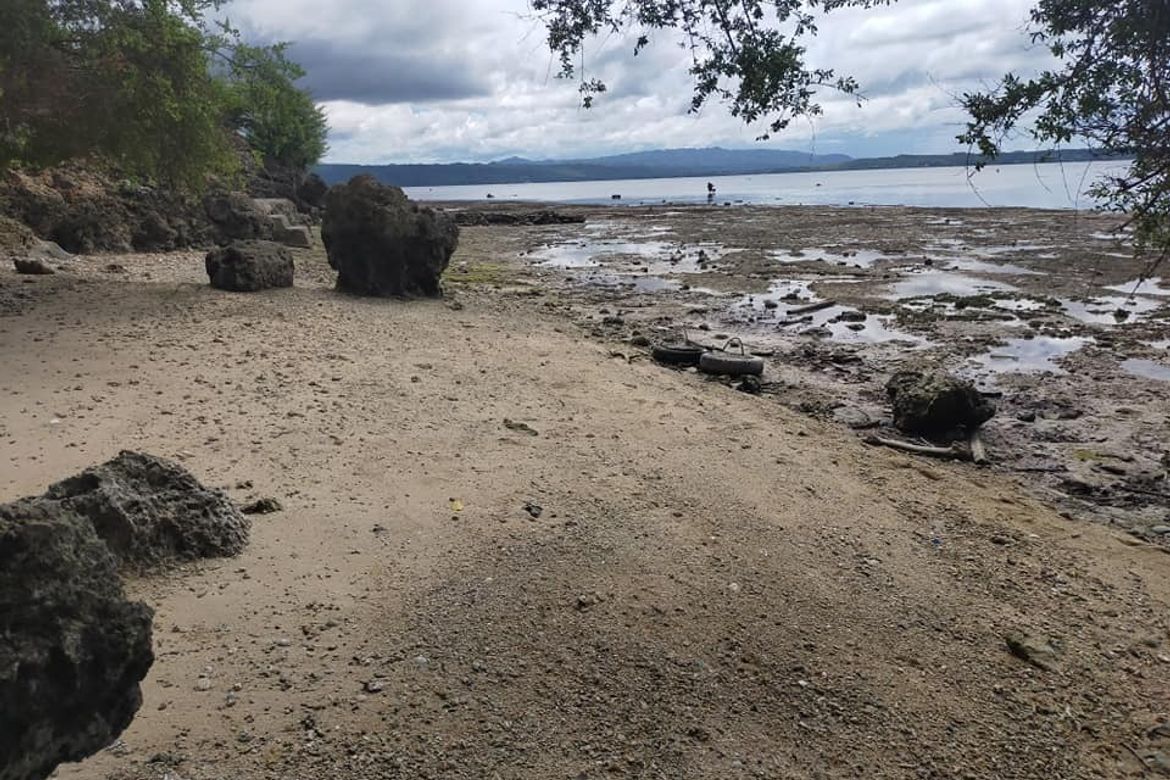 Land for Sale in Kinabag-An, Calape, Bohol – photo 5